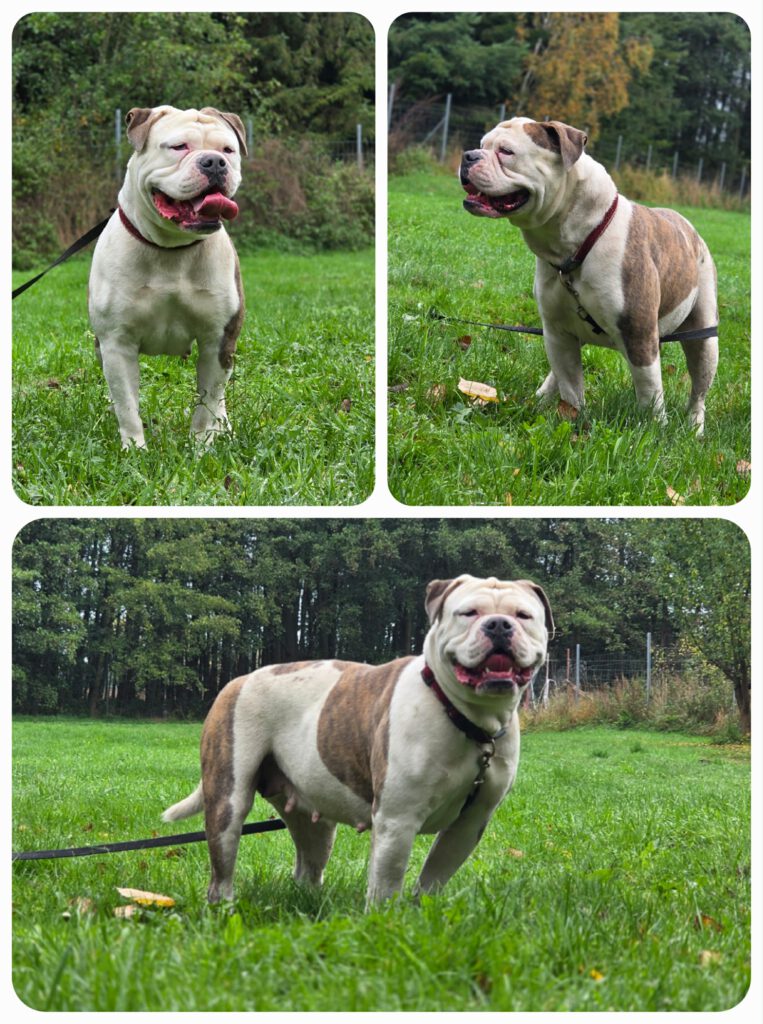 723079ee-dbee-4707-8b3c-c3dc82e377d6