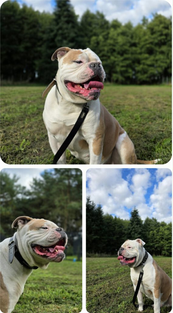 f312532b-af27-449d-8f52-dac7bc34b23d