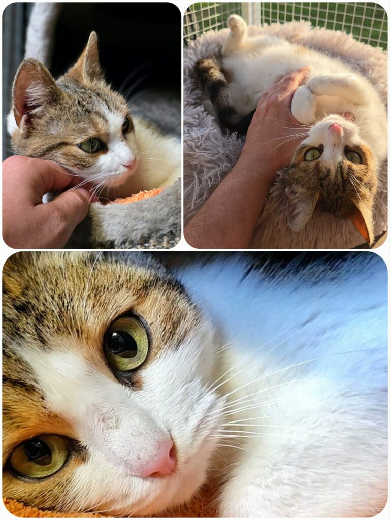 7ace165d-7f48-4fb3-ba79-f5bf13958f4c